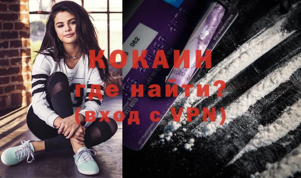 индика Балабаново