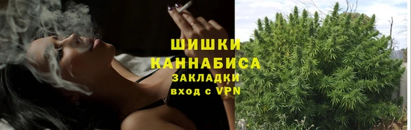 ALPHA-PVP Белокуриха