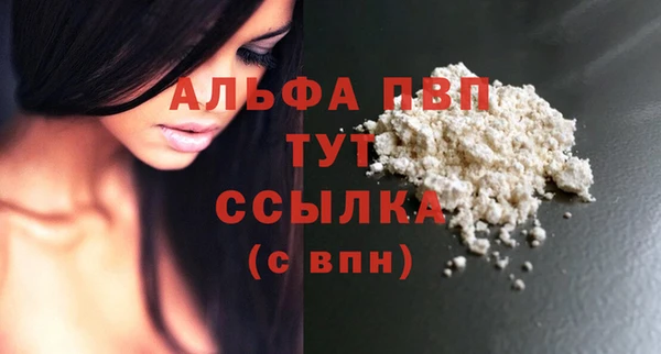 индика Балабаново