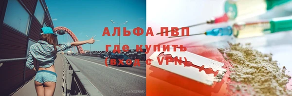 индика Балабаново