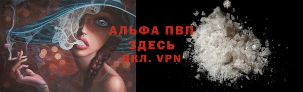 индика Балабаново