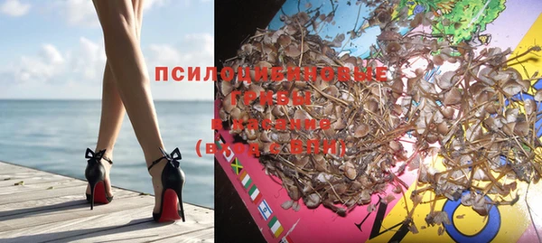 эйфоретик Баксан